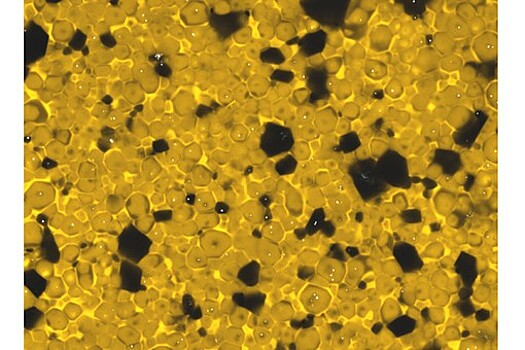 Ученые придумали, как точно рассчитать пористость оптических материалов