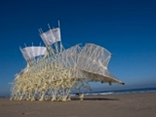 По голландским пляжам ползают пластмассовые «существа»: видео