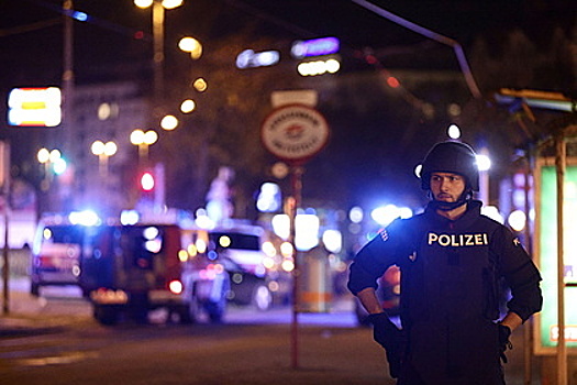 Атаку в Вене совершил исламский террорист