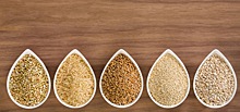 Цельные зерна влияют на микрофлору кишечника