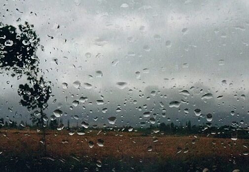В Саратовскую область возвращаются дожди и ветер