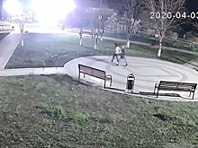 Кража саженца кустарника в новобейсугском сквере попала на видео (видео)