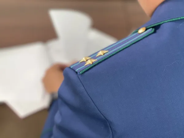 Прокуратура требует компенсировать моральный вред укушенному собакой подростку в Отрадном