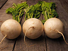 Диетолог перечислил полезные свойства репы