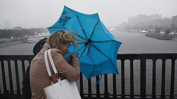 МЧС предупредило москвичей и сильном ветре