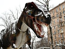 В Дарвиновском музее пройдет День эволюции
