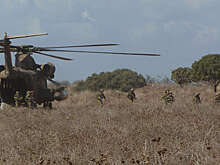 Al Jazeera: на западной окраине Дамаска Израиль высадил вертолетный десант