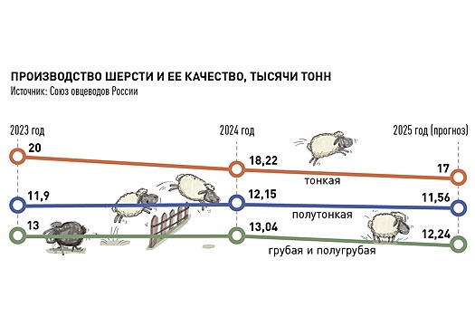 Почему в ЮФО овцеводство стало нерентабельным