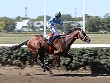 В 2021 году на Ростовском ипподроме нельзя будет делать ставки