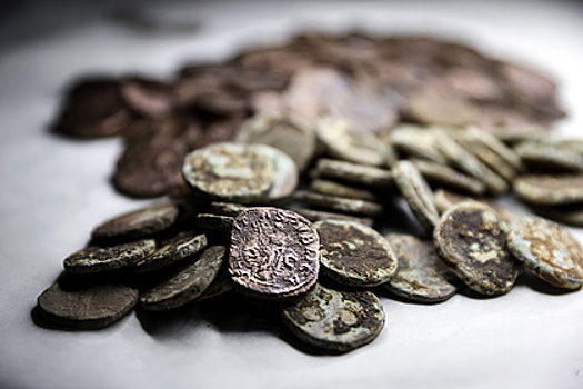 Кладоискатели нашли 161 римскую монету под собственным туристическим лагерем