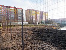 В Курске сквер на улице Студенческой временно огородили из-за продолжающегося благоустройства