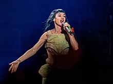 «Эффект Долиной» в США. Кэти Перри отсудила у ветерана $1,8 млн за срыв сделки с домом