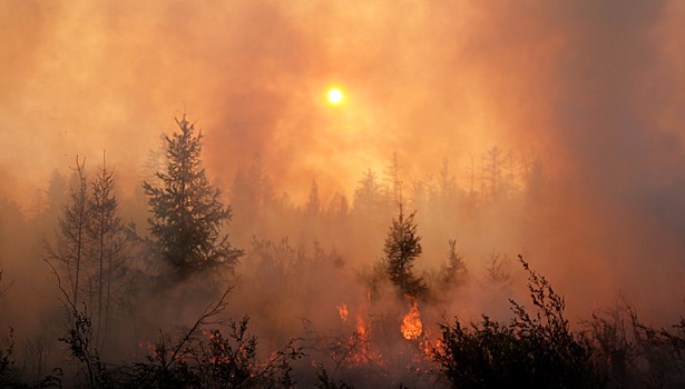 Число природных пожаров в Якутии возросло до 43