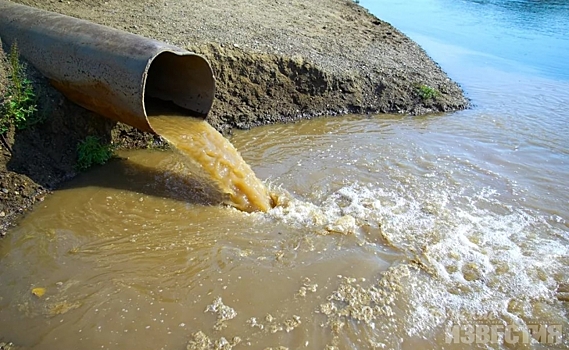 Курская область. Канализационные стоки сбрасывали в водоём