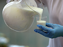 Диетолог опровергла выводы ученых о пользе молока на завтрак