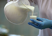 Диетолог опровергла выводы ученых о пользе молока на завтрак