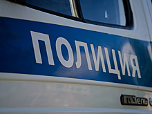 В Спасском районе из магазина украли продукты питания