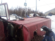 В Подмосковье водителя грузовика придавило овощами после ДТП
