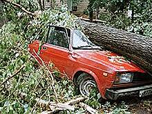 Собянин: за медпомощью в Москве обратились более 40 пострадавших от урагана