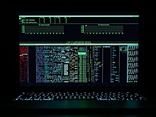 IT-эксперт рассказал, как проверить утечку личных логинов и паролей