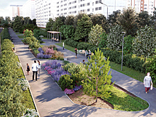 Собянин: в ВАО Москвы реализуют шесть проектов благоустройства в 2025 году