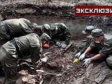 Останки 10 советских бойцов нашли под Петербургом поисковые батальоны РФ и Белоруссии