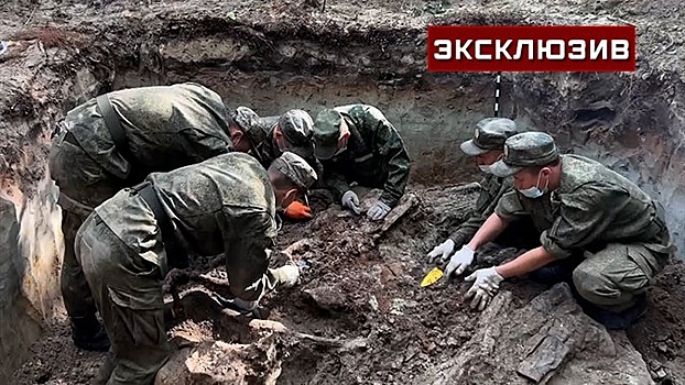Останки 10 советских бойцов нашли под Петербургом поисковые батальоны РФ и Белоруссии