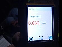 В Ряжском районе оставили пьяного водителя