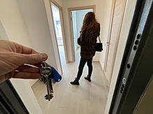 Правительство подготовило проект повышения прозрачности сделок с недвижимостью