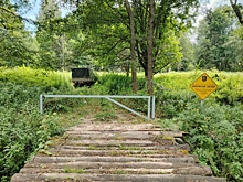 «Чёрного копателя» поймали в заповеднике «Калужские засеки»