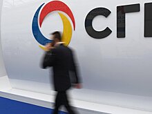 ФАС возбудила дело против СГК о манипулировании ценами