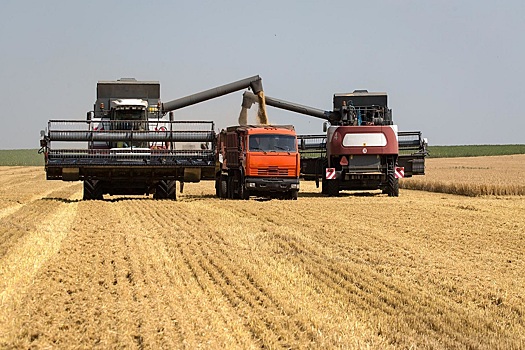 4 октября в госфонд закупили 39,96 тысячи тонн зерна