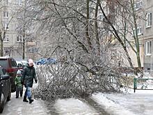 Кто должен компенсировать ущерб от урагана?
