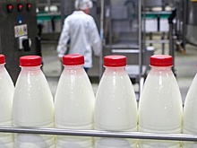 Российские производители молока заявили о «безвыходной ситуации» для их бизнеса