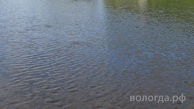 52-летний мужчина утонул в реке Кубене в Вологодской области