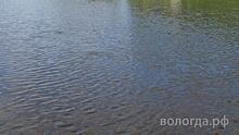 В Вологде женщина решила на спор переплыть реку и чуть не утонула