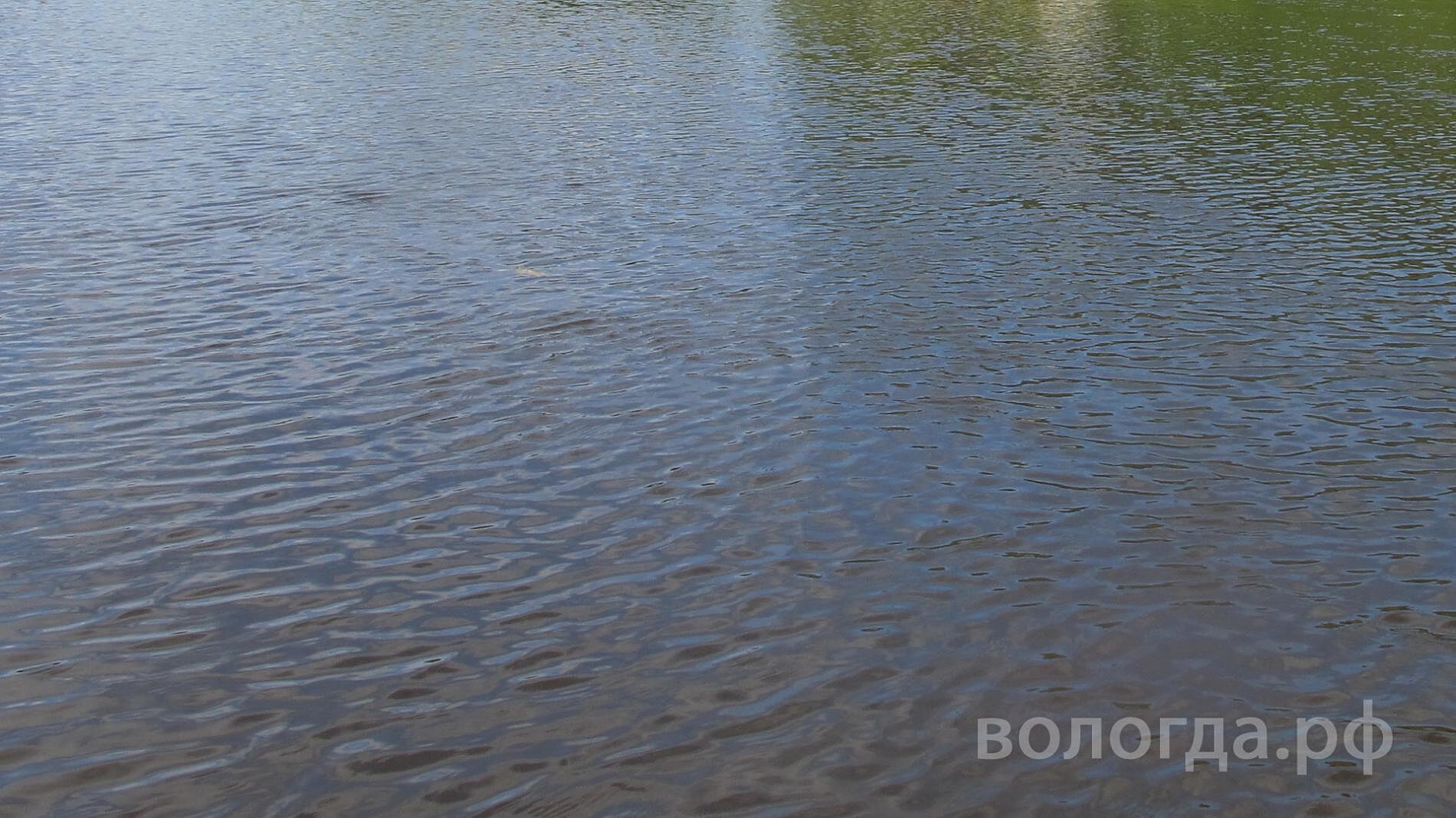 В Вологде женщина решила на спор переплыть реку и чуть не утонула
