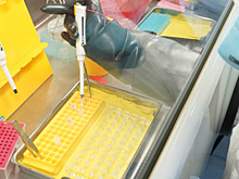 В Волгоградской области обнаружены еще 89 заразившихся коронавирусом