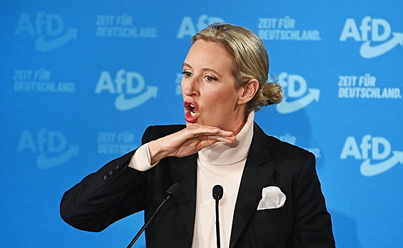 Лидер АдГ назвала состояние экономики ФРГ "предвестником краха"