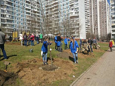 Посадки деревьев и кустарников в рамках акции «Миллион деревьев» начались в районе Коньково