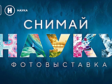Раскопки динозавров, летающие маршмеллоу и танец искр: в Архангельске откроется выставка фотоконкурса «Снимай науку!»