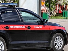 Друг убил помощника депутата Заксобрания Ростова и изнасиловал его девушку