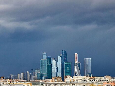 Синоптик Тишковец: порывы ветра в Москве достигли 24 м/с