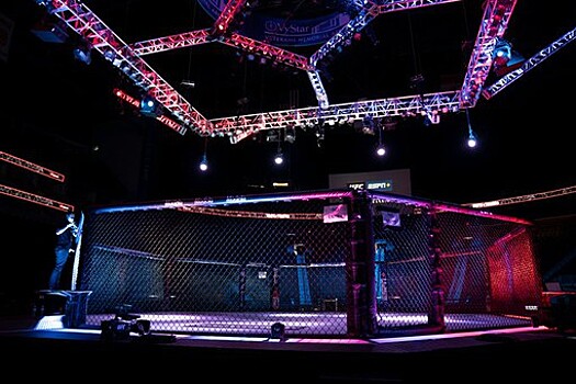О'Мэлли нокаутировал Вайнлэнда на UFC 250