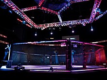 Молдавский боец провел борцовский прием на тренере после победы на турнире UFC