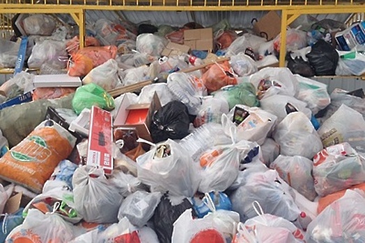 В Солнечногорском районе вывезут почти 10 тыс тонн размещенного с нарушениями мусора