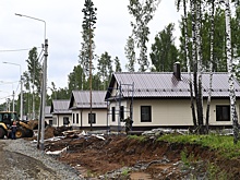 Спрос на загородную недвижимость продолжил расти в 2024 году