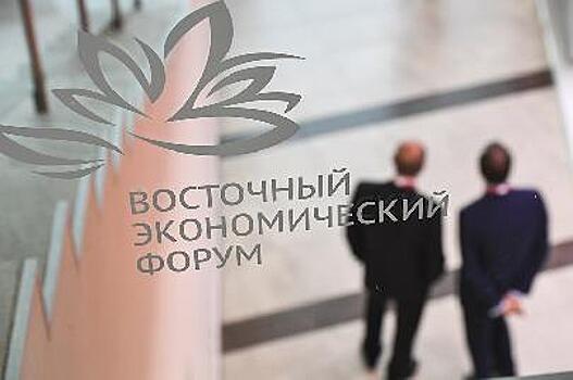 Представители 20 стран примут очное участие в Восточном экономическом форуме