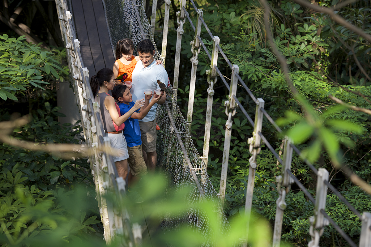 Парк птиц Джуронг, Сингапур, Азия