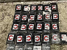 Baza: таможенники нашли в контейнере партию кокаина на 600 млн рублей